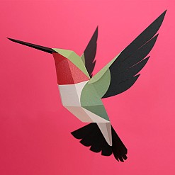 Oiseau en papier 3D par Plego. Colibri à queue large