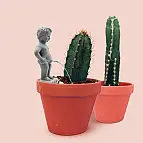 Décoration de pots : Pee My Plants