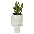 Pour placer des cactus ou des plantes grasses