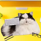 N'oubliez pas votre chat au travail