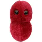 Peluche pharyngite