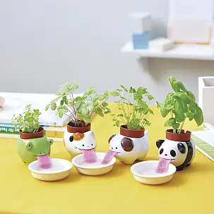 Jardinière auto-arrosante Kawaii Peropon