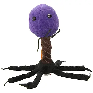 Peluche Bacteriophage Virus T4