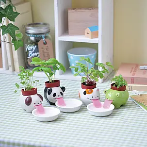 Jardinière auto-arrosante Kawaii Peropon