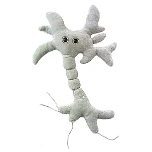 Jouet en peluche Microbe Small Neuron