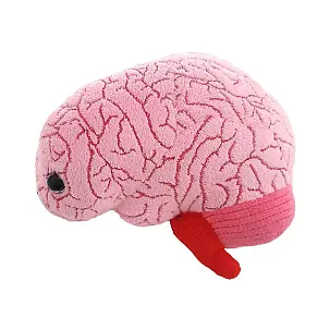 Peluche en forme de cerveau