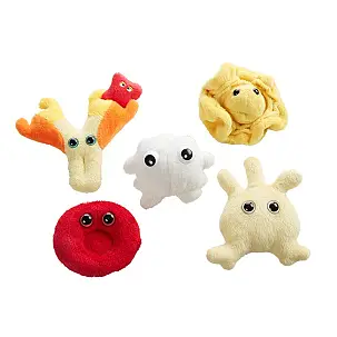 Boîte de mini-peluches de cellules sanguines