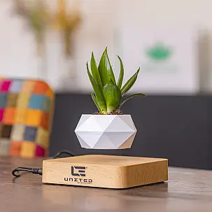 Pot en lévitation pour mini plantes