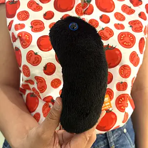 Peluche originale Peste noire 