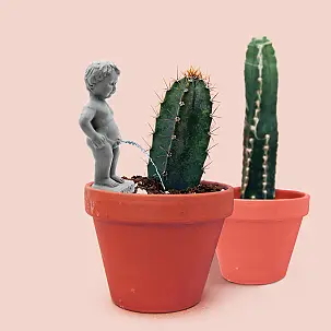 Décoration pour jardinières : Pee My Plants