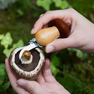 Porte-clé multi-outils pour aller aux champignons