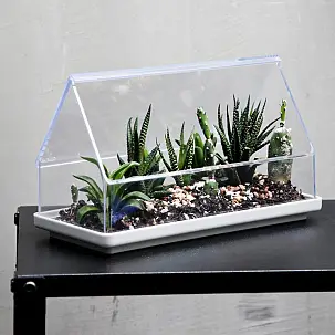 Mini-serre pour petites plantes