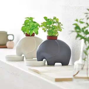 Jardinière à arrosage automatique en forme d’éléphant