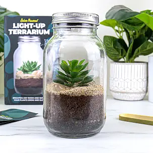 Kit pour réaliser un terrarium avec lumière