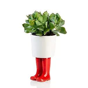 Jardinière originale avec des bottes