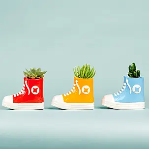 All Plant : pot original en forme de pantoufle