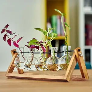 Regalos para aficionados a las plantas y jardinería