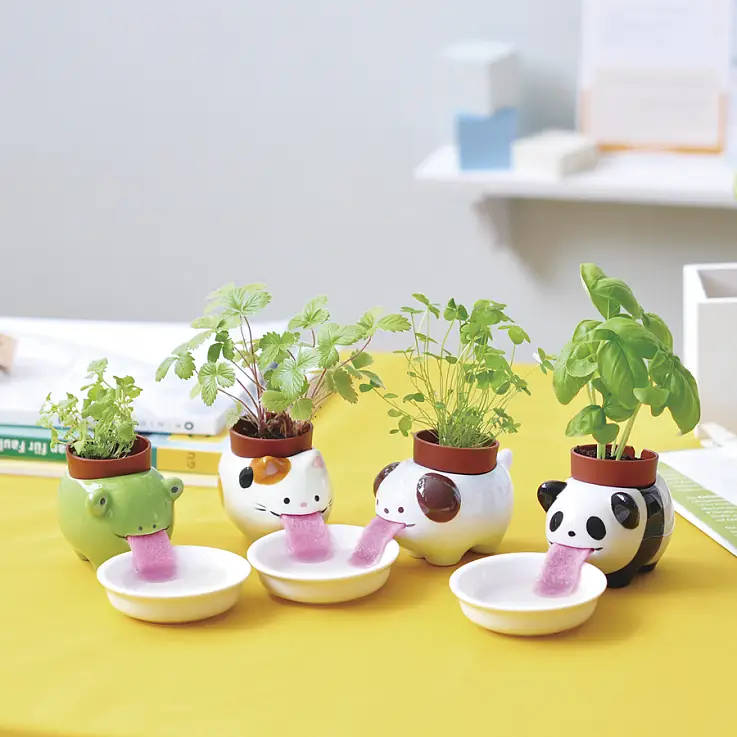 Le plus kawaii des bacs à plantes auto-arrosants