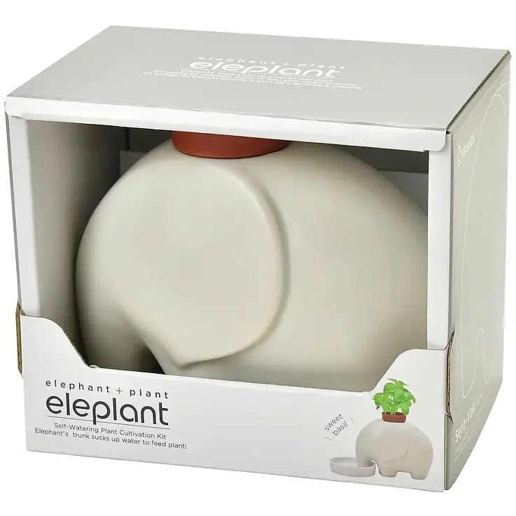 Eléphant blanc avec graines de basilic doux