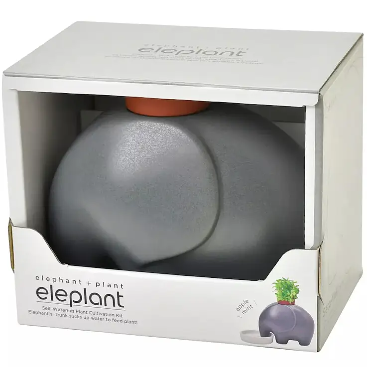 Éléphant gris avec des graines de menthe-pomme