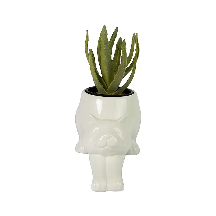 Pour placer des cactus ou des plantes grasses