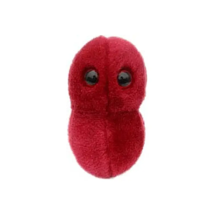 Peluche pharyngite